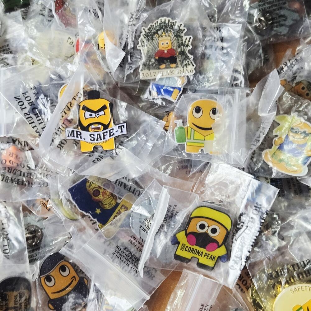 LOT OF 12 Amazon Peccy Pins- Randomly picked